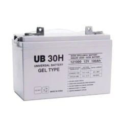 Universal Power Group 12-Volt 100 Ah Fl2 Terminal Sealed Rechargeable Battery