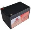 Bullspower 12v 12ah F2 Sealed Lead Acid Battery